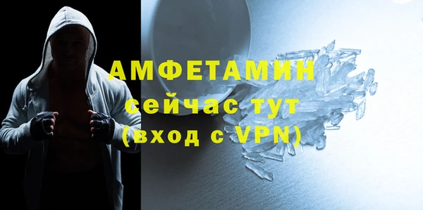 индика Богородск