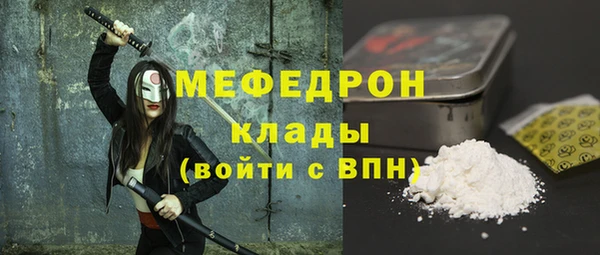 индика Богородск