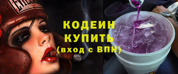 индика Богородск
