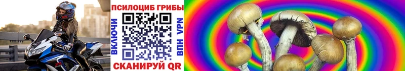 Купить где Серафимович Псилоцибиновые грибы Magic Shrooms